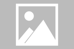 leyu-【林良锋电台】Vol 6：三狮沦为三喵，都是谁的锅？